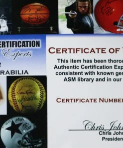 Sports-Autographs Tampa Bay Rays 2010 Team Signed Autographed MLB Replica Batting Helmet -Deals Slowpitch Softball Bats Store IMG 8720 52b10271 7ddd 468d bd31 dbcc33337363 1024x1024