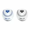 Weighted Training Balls 2 Pack